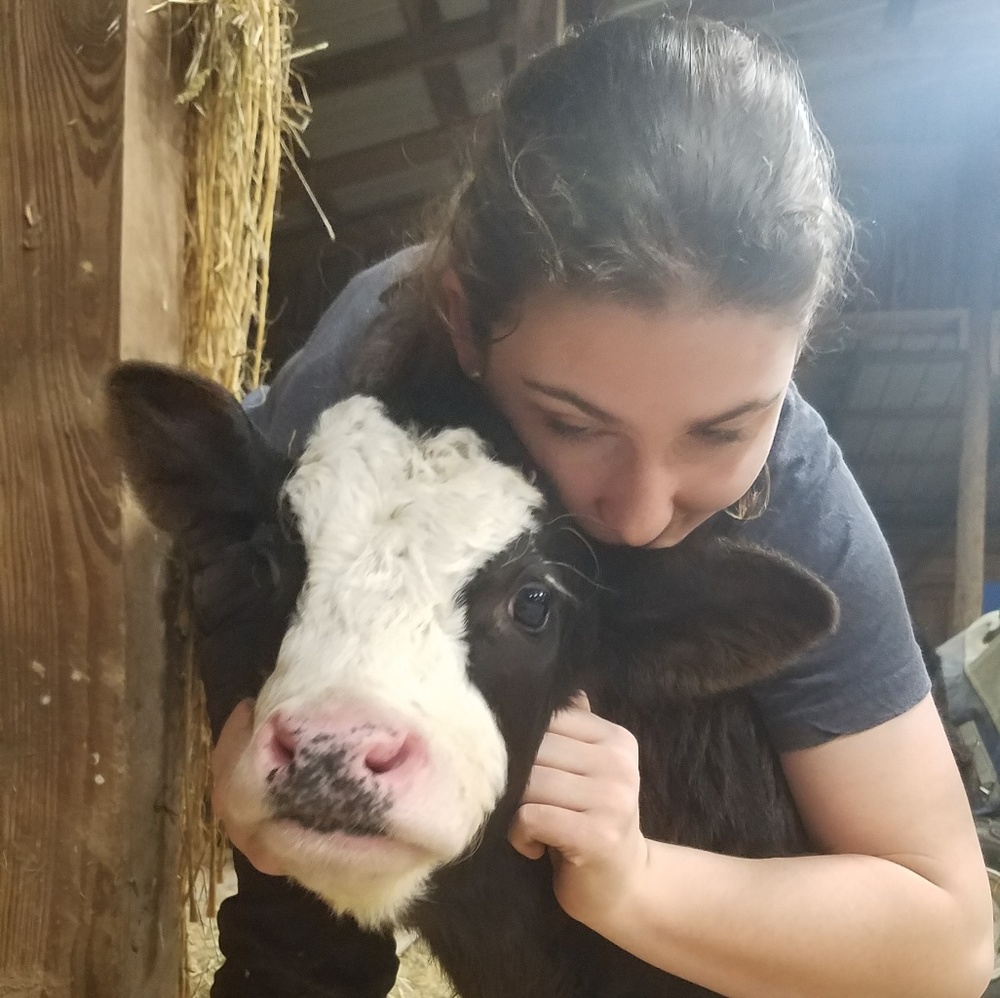 Meet your Posher, Sydney